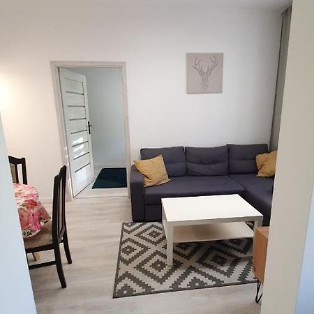 Apartament Na Kochanowskiego Stary Toruń Zewnętrze zdjęcie
